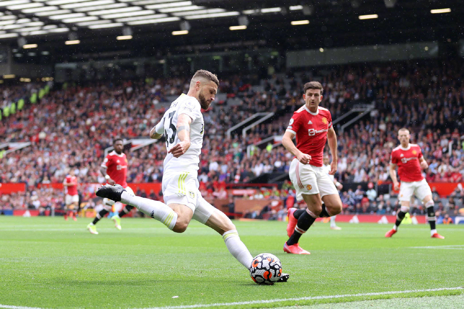 重新铺设草 重新铺设草